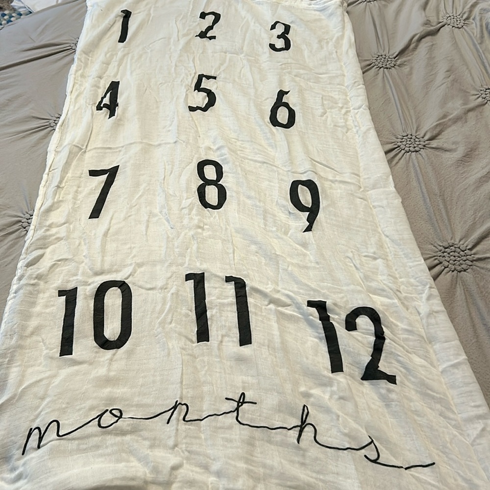 Months picture blanket